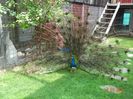 DSC02689