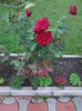 IMG_20150818_151946