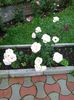 IMG_20150818_151929