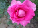 DSC09347