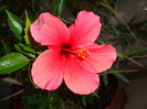 DSC09485
