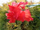 DSC09490