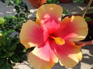 DSC09500