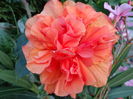 DSC09506