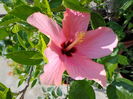 DSC09502