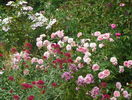 16 aug 055