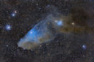 bluehorsehead_rosen_960