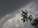 P8060656