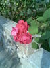 Imag019