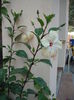 DSCF4120