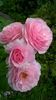 WP_20150730_121