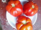IMG_20150816_192751