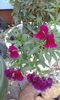 20150815_202447