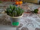 IMG_20150819_094204