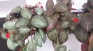 20150819_121022