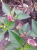 IMG_20150819_175555