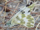 RSCN0858