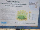 DSCN0577 - copia