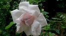 DSC01849