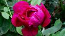DSC01860