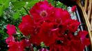 DSC01880