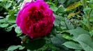 DSC01891