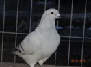 90906296_VWQAKKZ