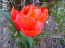 DSC01652