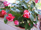 DSC01657
