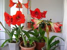 DSC01660