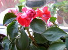 DSC01663