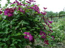 DSC01672
