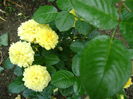 DSC01676