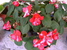 DSC01704