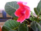 DSC01705