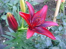 DSC01726