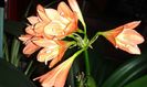 20150820_105300