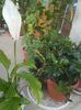 Picture 034