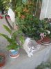 Picture 033