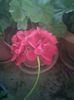 Picture 040