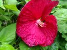 IMG_20150822_175308