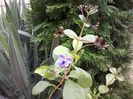 20150822_183524