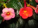 DSC03231