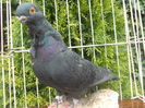 DSCN0827