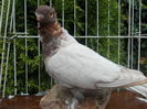 DSCN0876