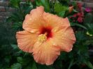 20150822_155248