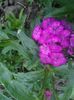 IMG_20150516_153639
