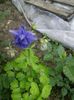 IMG_20150516_153745