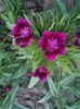 IMG_20150516_153643
