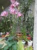 IMG_20150516_153807